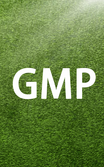GMP1.jpg
